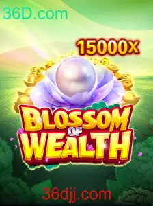 Descubra o Mundo de BlossomofWealth com 36D.com